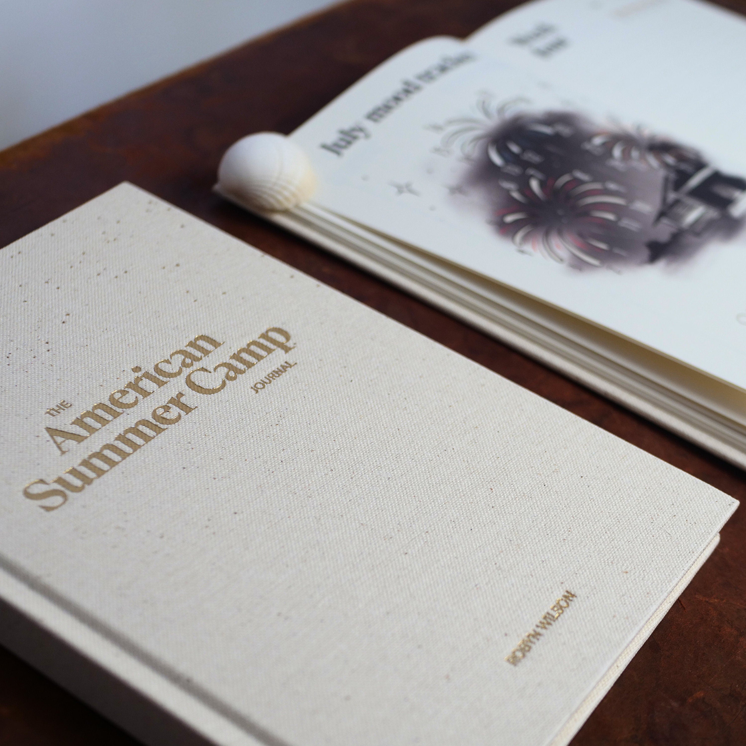 The American Summer Camp Journal